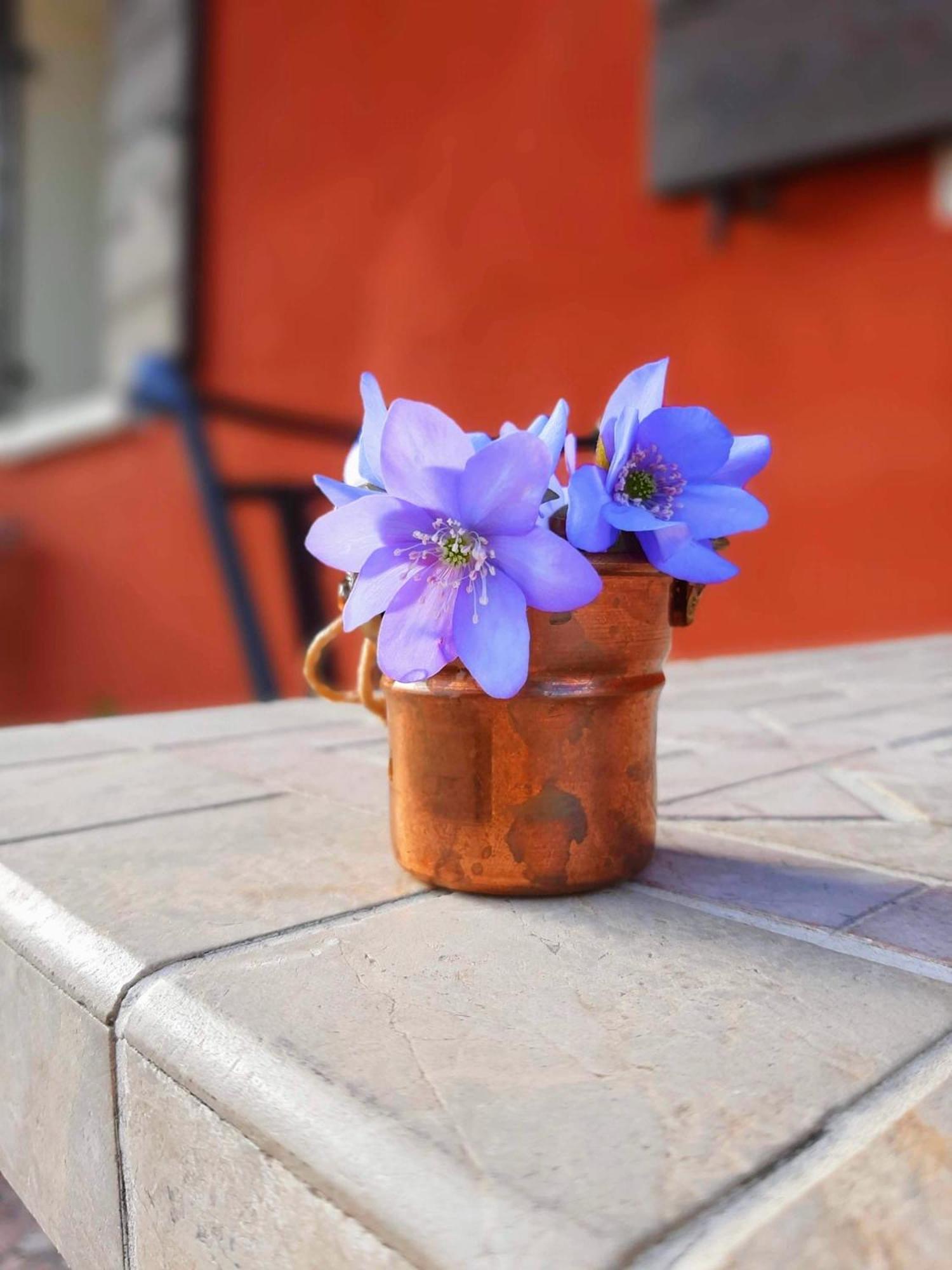 Casa Del Conte Bed & Breakfast Soligo