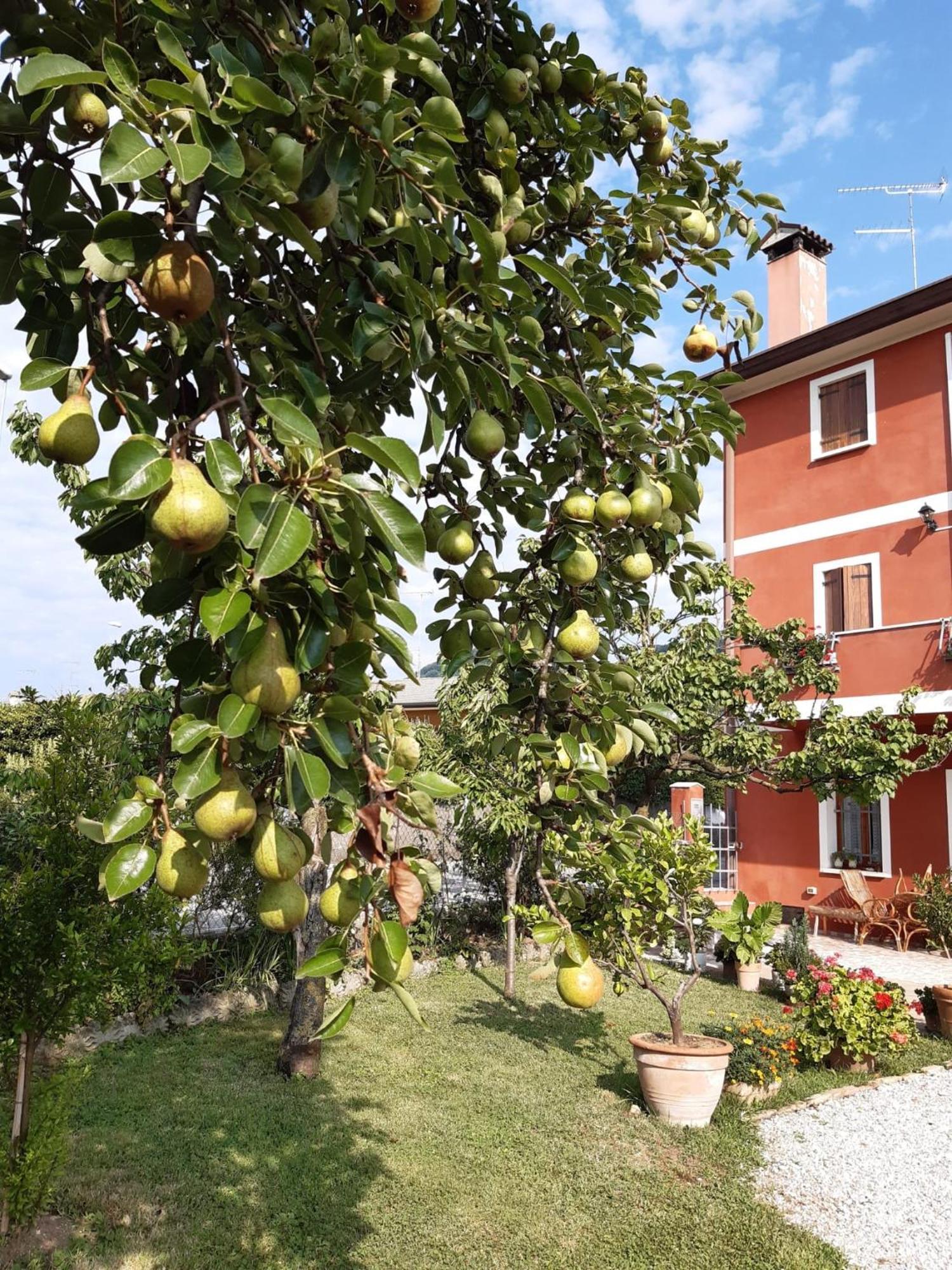 Casa Del Conte Bed & Breakfast *